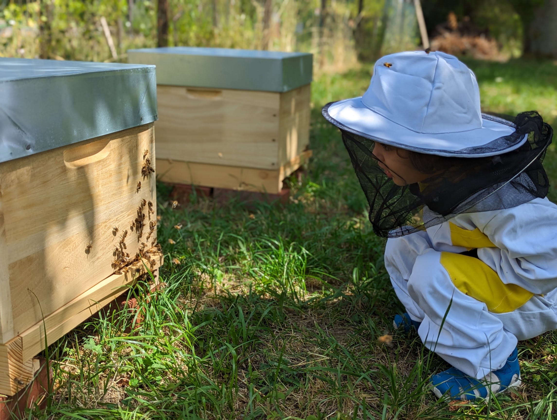 Fleißige Bienen